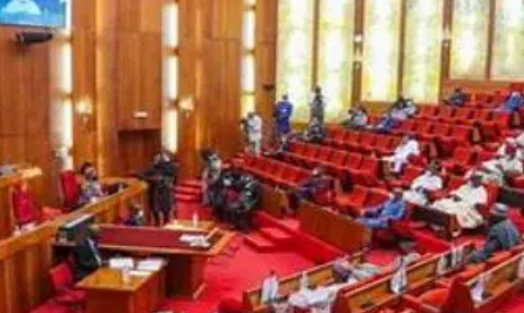 Senate Pushes for Timely, People-Focused Constitution Changes