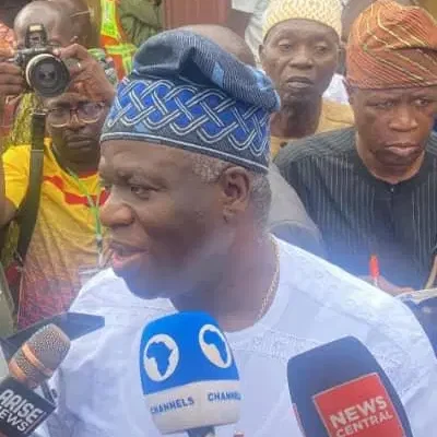 PDP Candidate Decries INEC Delays, Alleges Vote Manipulation