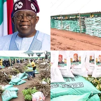 Tinubu’s Agricultural Interventions and the Challenge Before Abia State
