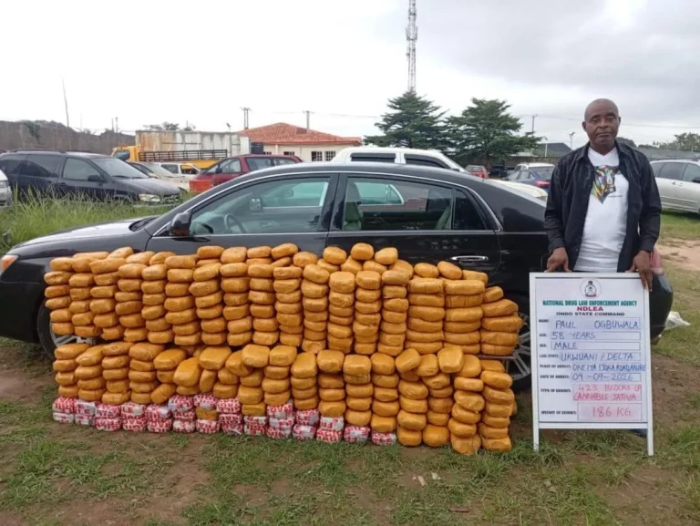 NDLEA Seizes UK-Bound Cannabis, Drugs Hidden In Bread, Speakers Nationwide