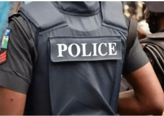 Ogun Police Hunt Man Over Alleged Abuse of Teen Boy